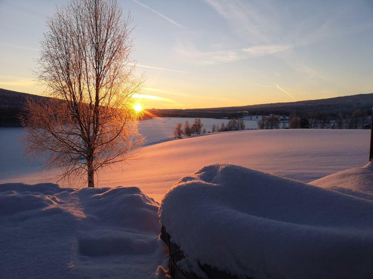 Skatauddens Lantgård Villa Alvsbyn Bagian luar foto