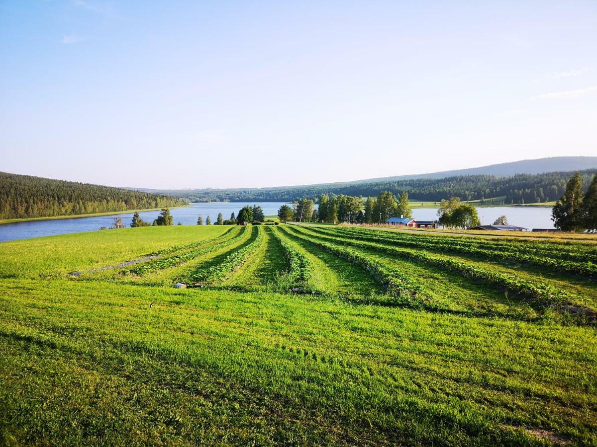 Skatauddens Lantgård Villa Alvsbyn Bagian luar foto