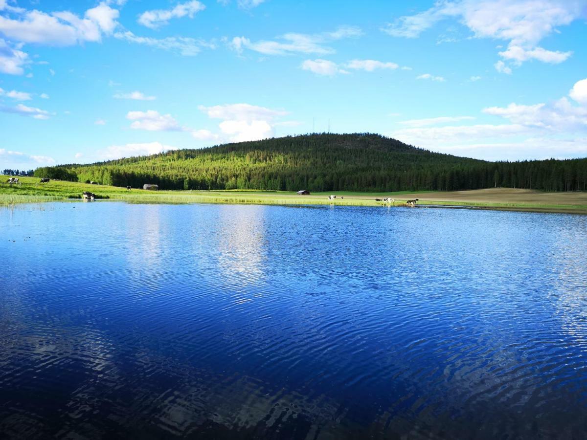 Skatauddens Lantgård Villa Alvsbyn Bagian luar foto