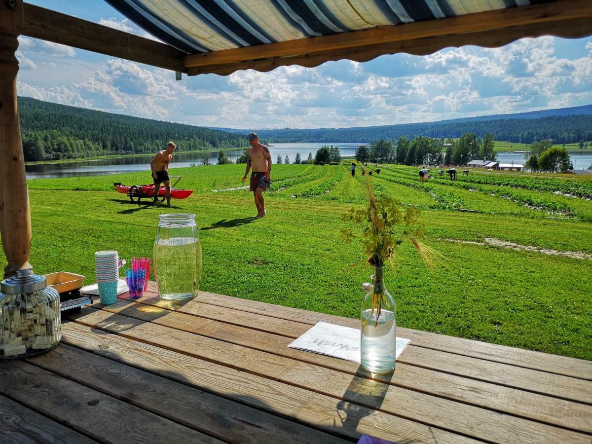 Skatauddens Lantgård Villa Alvsbyn Bagian luar foto