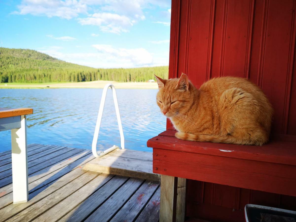 Skatauddens Lantgård Villa Alvsbyn Bagian luar foto